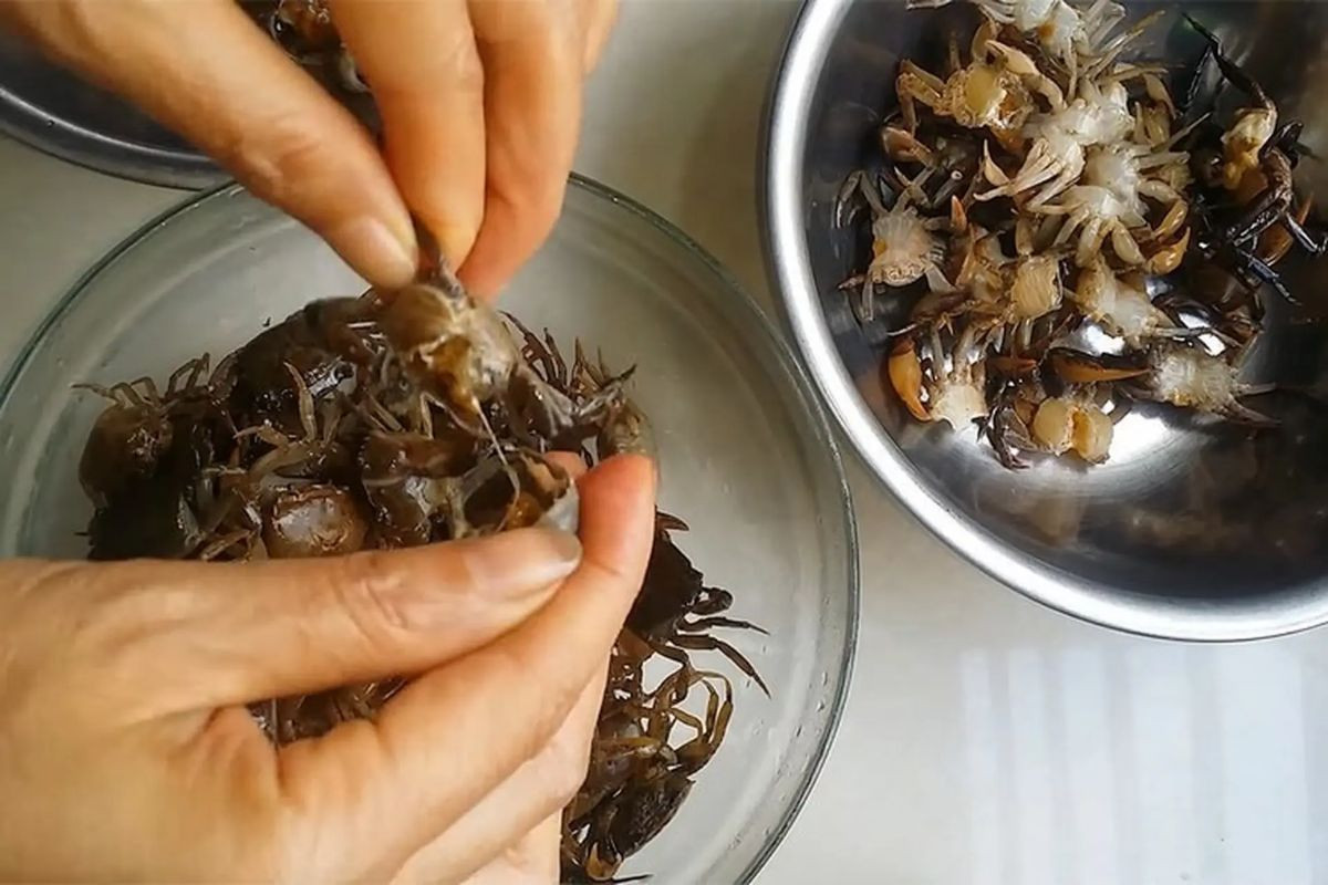 cách nấu cháo cua đồng cho bé: Hướng Dẫn Chi Tiết A-Z Cho Bữa Ăn Dặm Hoàn Hảo Cháo cua đồng chứa nhiều dưỡng chất cần thiết giúp bé phát triển khỏe mạnh