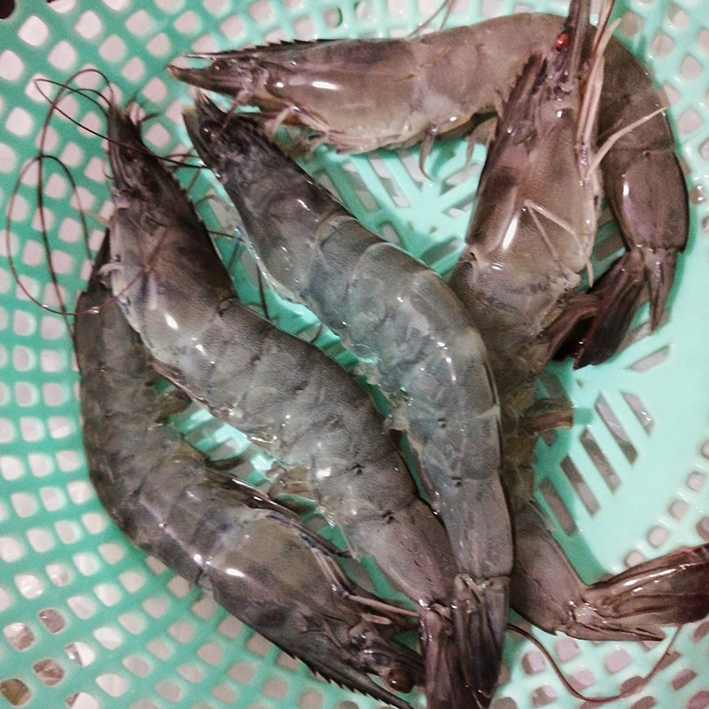 cách nấu canh tôm rau dền giải nhiệt, bổ dưỡng cho mọi gia đình Mẹo sơ chế tôm nhanh gọn cho món canh tôm rau dền
